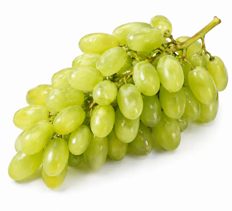 Çekirdeksiz Üzüm
